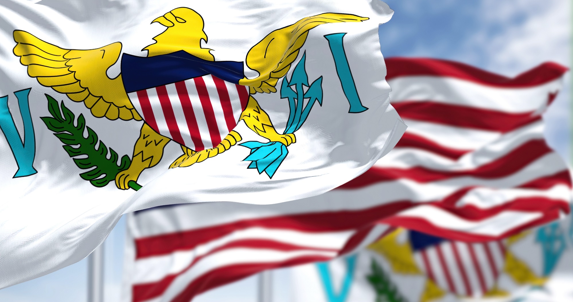 Virgin Island Flag